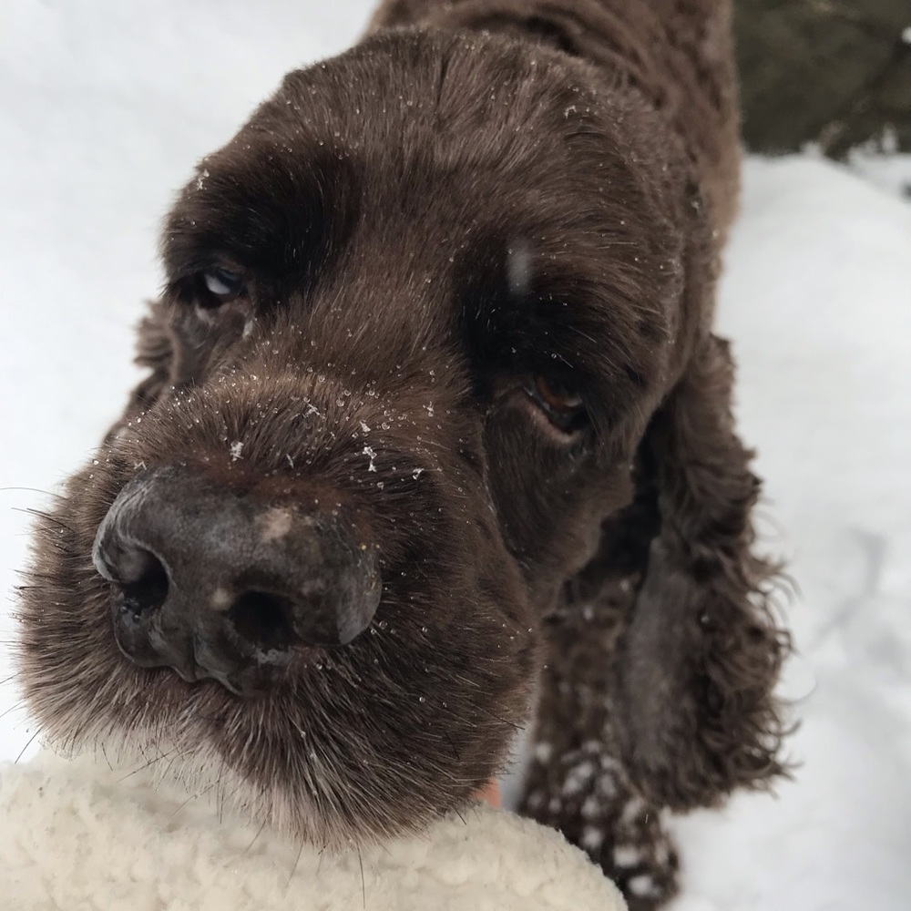 Meet your Posher, Maggie
